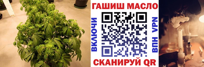 Дистиллят ТГК гашишное масло mega зеркало Кемерово
